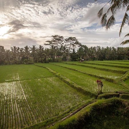 Junjungan Ubud Hotel And Spa Exteriör bild