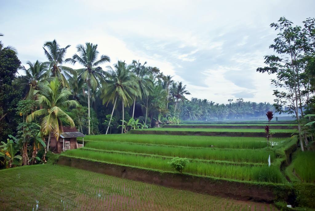 Junjungan Ubud Hotel And Spa Exteriör bild