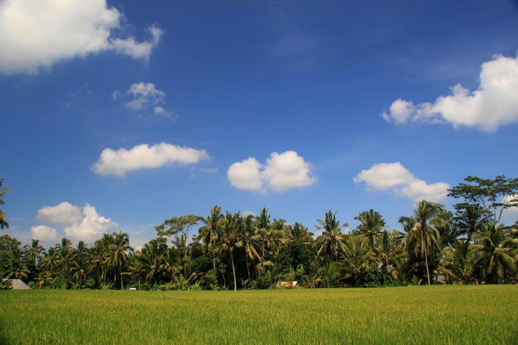 Junjungan Ubud Hotel And Spa Exteriör bild