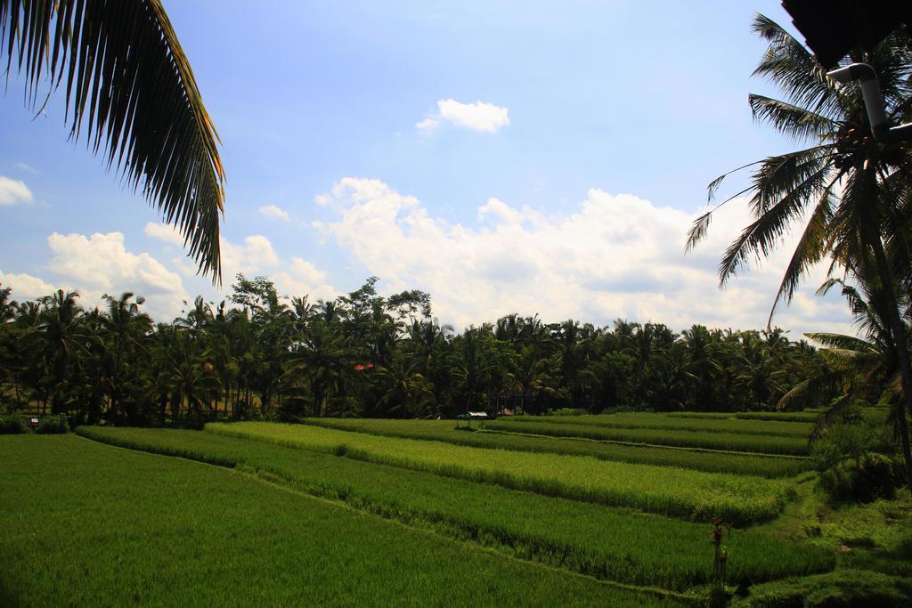 Junjungan Ubud Hotel And Spa Exteriör bild