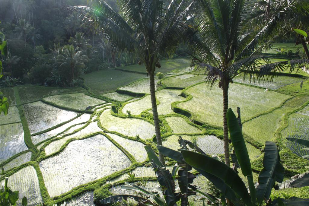 Junjungan Ubud Hotel And Spa Exteriör bild