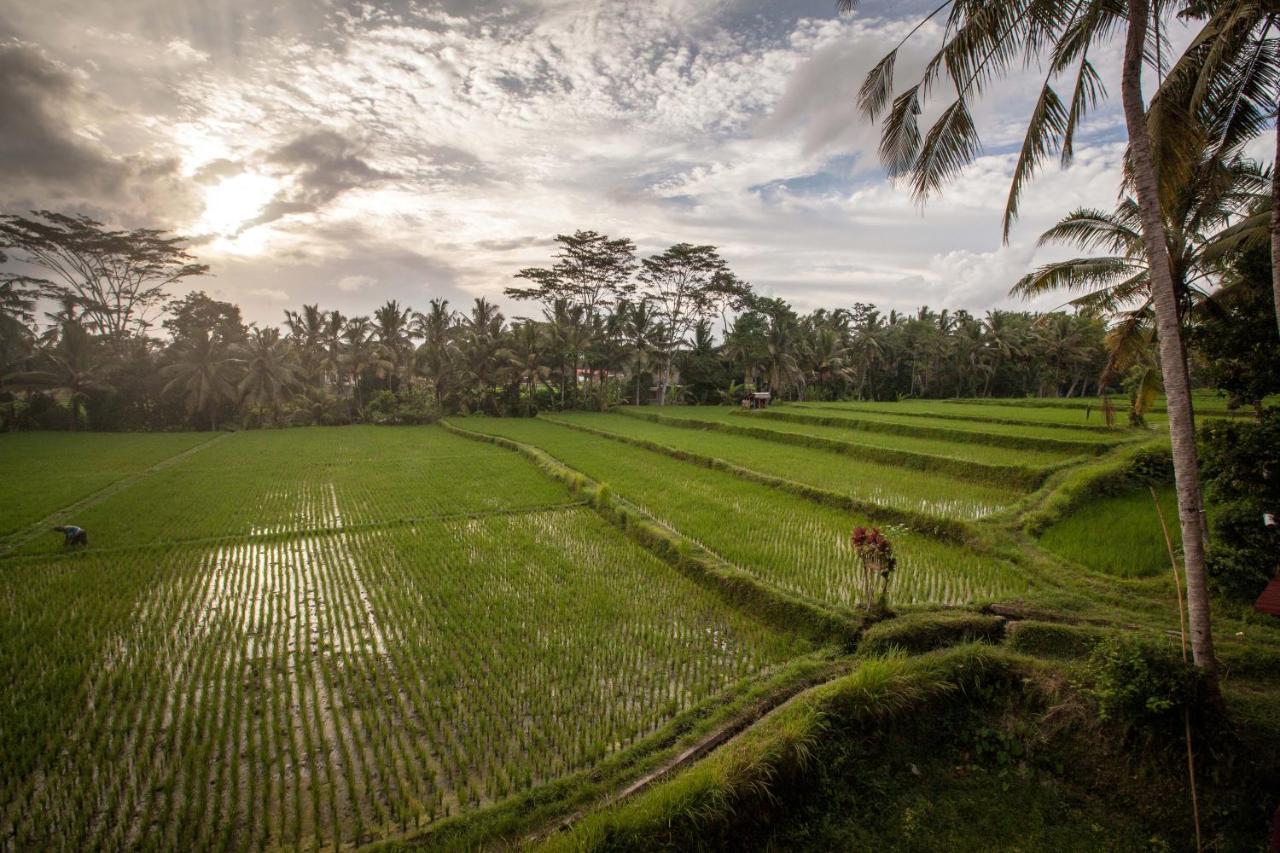 Junjungan Ubud Hotel And Spa Exteriör bild